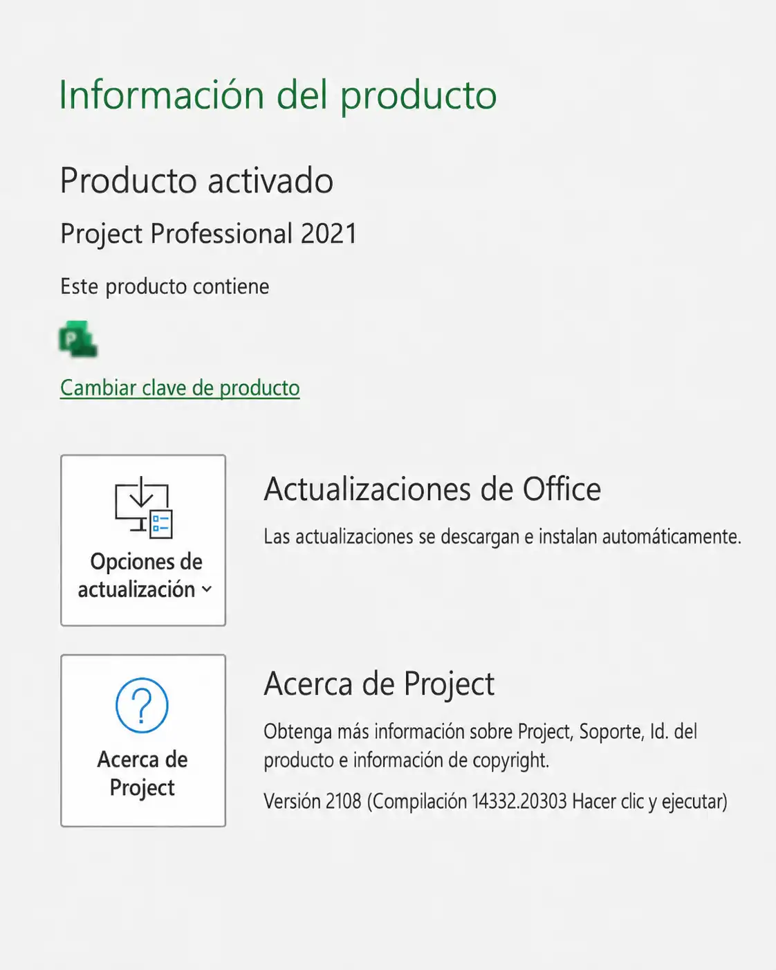 Project Professional activado correctamente